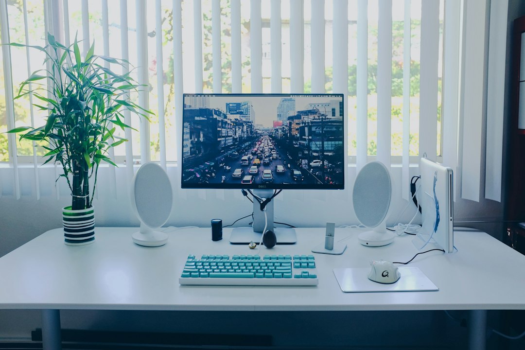 A clean desktop setup with a mechanical keyboard, a white mouse and a small green plant